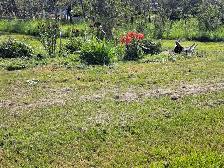 Are you looking for ready to build or just want a quieter life? - Photo 6