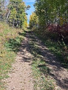Are you looking for ready to build or just want a quieter life? - Photo 8