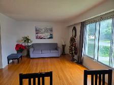 Students & Professionals: Large, Clean Room Near Carleton U.