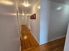Students & Professionals: Large, Clean Room Near Carleton U. - Photo 3