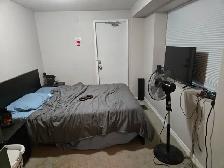 FREE RENT!  NO CREDIT CHECKS! NO EMPLOYMENT VERIFICATION! - Photo 3