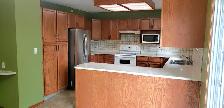 Spacious 4 Bed, 3 Bath Bi-Level – Quiet Cul-de-Sac – $2,750 (Uti - Photo 5
