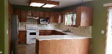 Spacious 4 Bed, 3 Bath Bi-Level – Quiet Cul-de-Sac – $2,750 (Uti - Photo 6