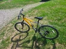 Adult Mountain Bike For Sale - Photo 4