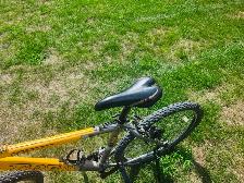 Adult Mountain Bike For Sale - Photo 6