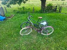 Adult Cruiser Bikes For Sale