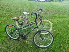 Adult Cruiser Bikes For Sale - Photo 3