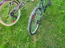 Adult Cruiser Bikes For Sale - Photo 9