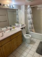 Furnished westside room 1 bus to UBC/LANGARA/DOWNTOWN - Photo 4