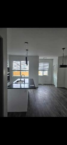 Utilities Included! - New Paisley Home - Oct 1 - Photo 6