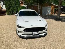 2019 Mustang gt for sale - Photo 2