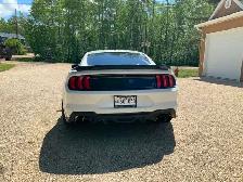 2019 Mustang gt for sale - Photo 4