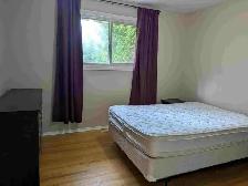 Rooms for rent to students in Waterloo - Photo 8