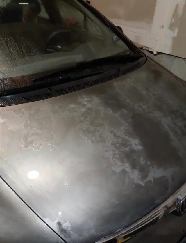 Autobody Repair & Painting