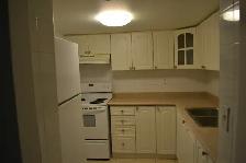 Beautiful Furnished Basement Room for Rent – UTSC Area - Photo 6