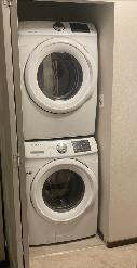 Beautiful Furnished Basement Room for Rent – UTSC Area - Photo 7
