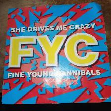 Fine Young Cannibals She Drives Me Crazy 45 RPM Record