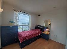 Private Room for One Professional Lady - Photo 4