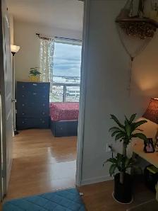 Private Room for One Professional Lady - Photo 8