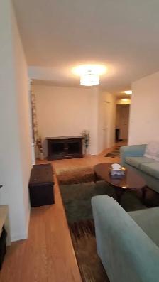 Private Room for One Professional Lady - Photo 9