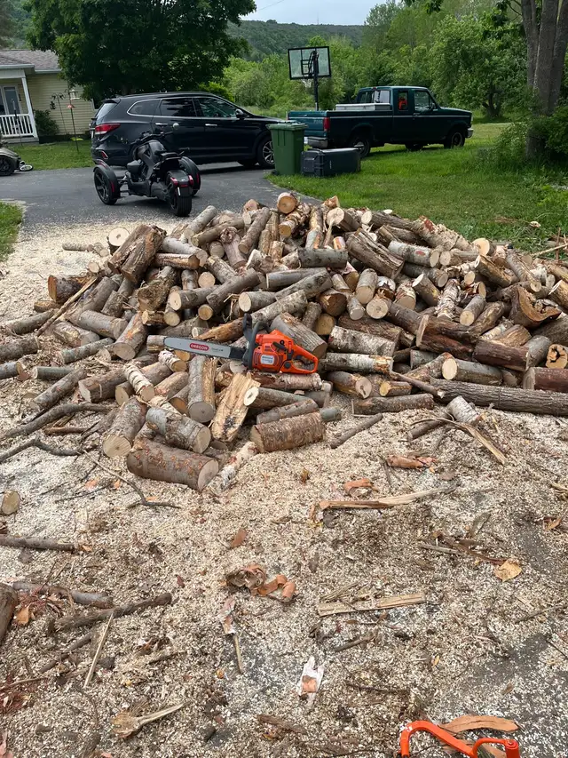 OFFERING TREE SERVICES AND MORE!