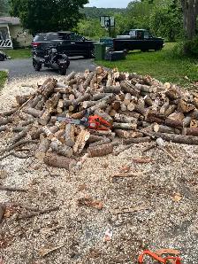 OFFERING TREE SERVICES AND MORE!
