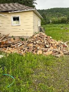OFFERING TREE SERVICES AND MORE! - Photo 2