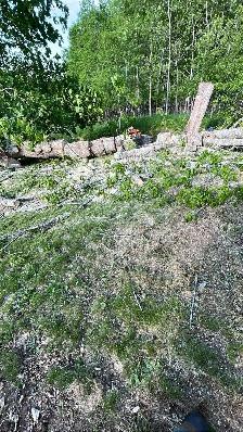 OFFERING TREE SERVICES AND MORE! - Photo 3