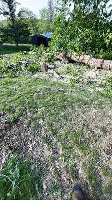 OFFERING TREE SERVICES AND MORE! - Photo 4
