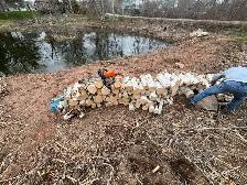 OFFERING TREE SERVICES AND MORE! - Photo 6