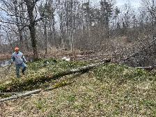 OFFERING TREE SERVICES AND MORE! - Photo 7