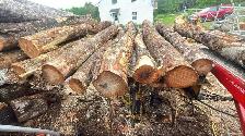 OFFERING TREE SERVICES AND MORE! - Photo 8