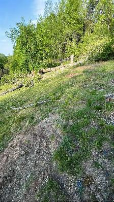OFFERING TREE SERVICES AND MORE! - Photo 9