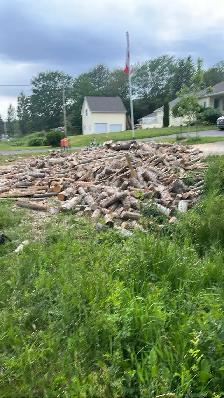 OFFERING TREE SERVICES AND MORE! - Photo 10