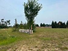 Two 1/2 acre lots Pelican Point Buffalo Lake Alberta - Photo 3