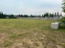 Two 1/2 acre lots Pelican Point Buffalo Lake Alberta - Photo 4
