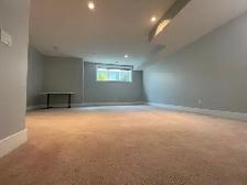 Basement for rent - Photo 6
