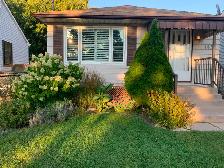 BASEMENT APARTMENT FOR RENT – AVAILABLE FROM OCTOBER 1st