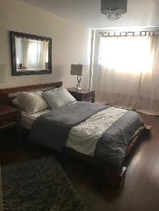 BEAUTIFUL ONE BEDROOM APARTMENT FOR RENTAL SEPTEMBER - Photo 3