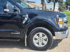 2023 Ford F-150 XLT - Photo 4