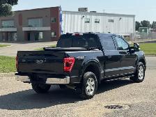 2023 Ford F-150 XLT - Photo 6