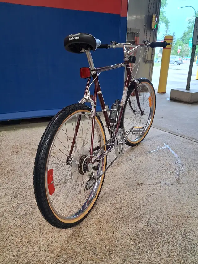 1986 Venture Roadrunner Mountain Tour