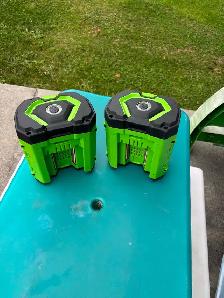 batterie ego - Photo 3