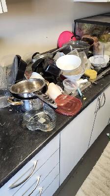 Professional Cleaning service ZaRa Cleaning Toronto - Photo 4