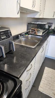 Professional Cleaning service ZaRa Cleaning Toronto - Photo 5