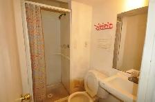Spacious Bedroom Near Sheridan College for Rent - Photo 7
