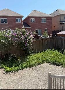 grass cutting /weed removal