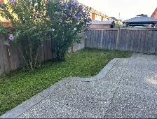 grass cutting /weed removal - Photo 3