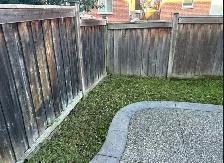 grass cutting /weed removal - Photo 4