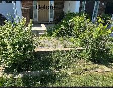 grass cutting /weed removal - Photo 5